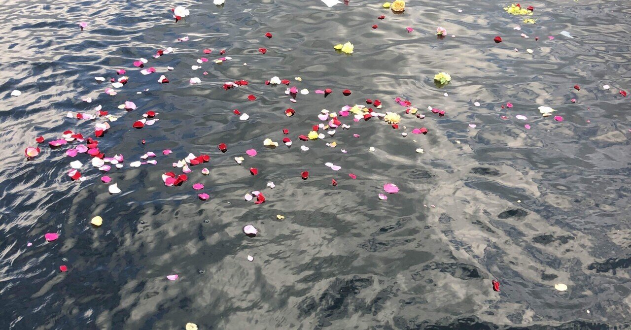 嫌いにならない努力をすると起こること｜和賀未青＠株式会社ニイラ代表取締役｜note