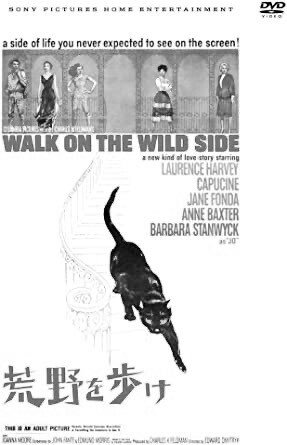 荒野を歩け の新着タグ記事一覧 Note つくる つながる とどける 荒野を歩け の新着タグ記事一覧 Note つくる つながる とどける