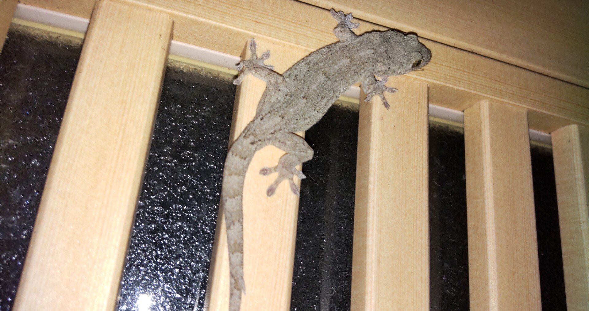 かべちょろって Ikuko するすみ Note