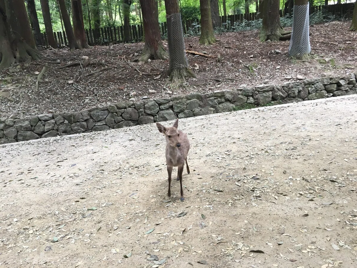 画像1