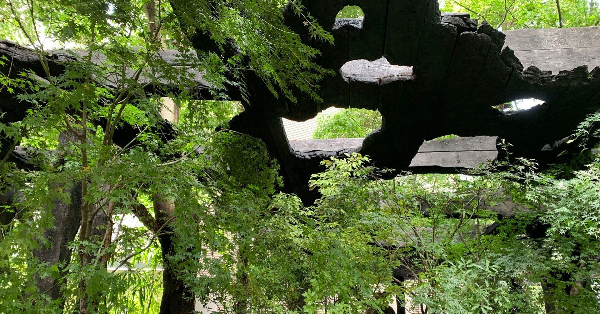 建築】日陰が心地良い木陰雲（石上純也）｜Hiroshi Kawajiri