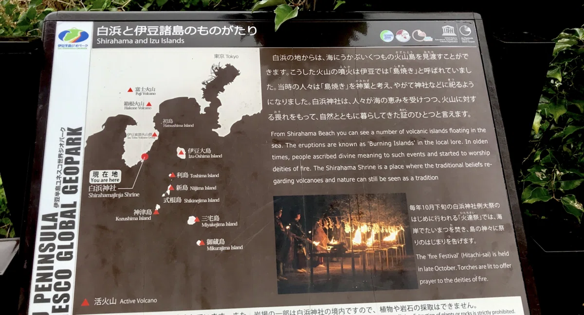 画像13