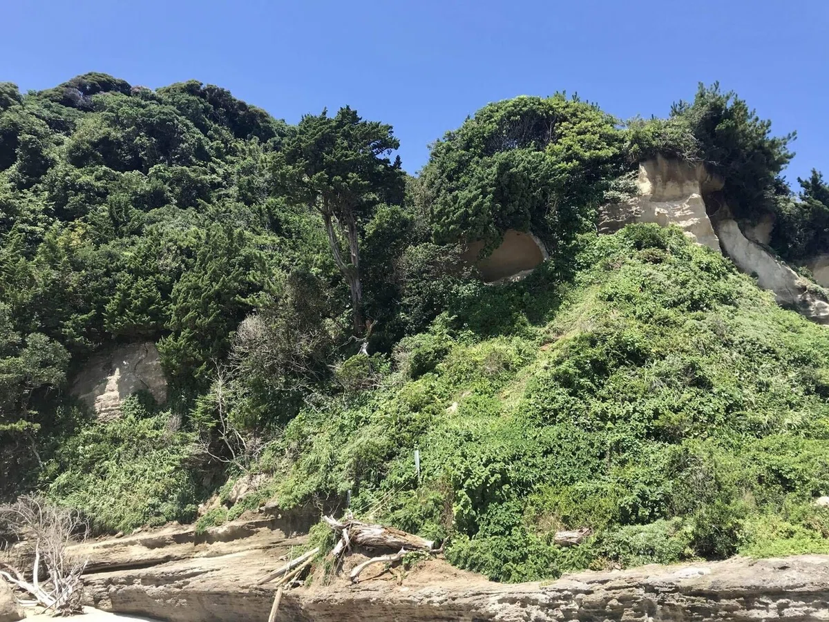 画像15