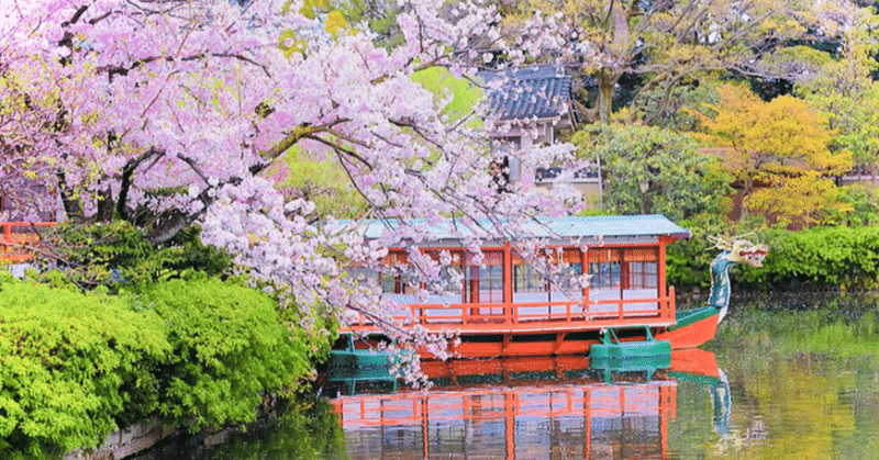 〜麻と神社⛩と金運シリーズ〜夜の龍神🐉の聖地とは？