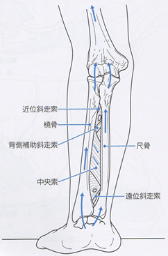 画像15