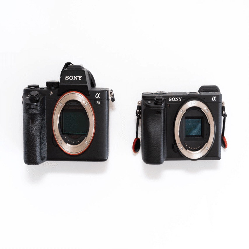 SONY】僕がα7IIからα6400に変えた理由とその魅力について語っていく