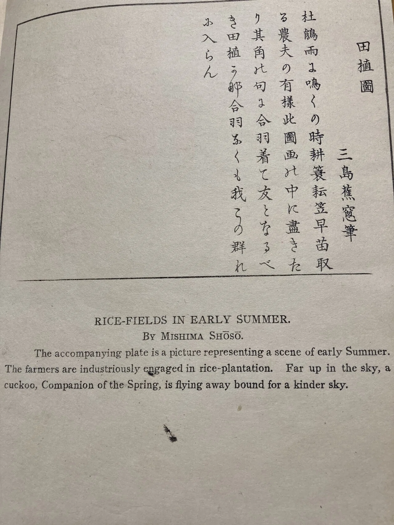 名画日本史（孔雀明王像）｜konn