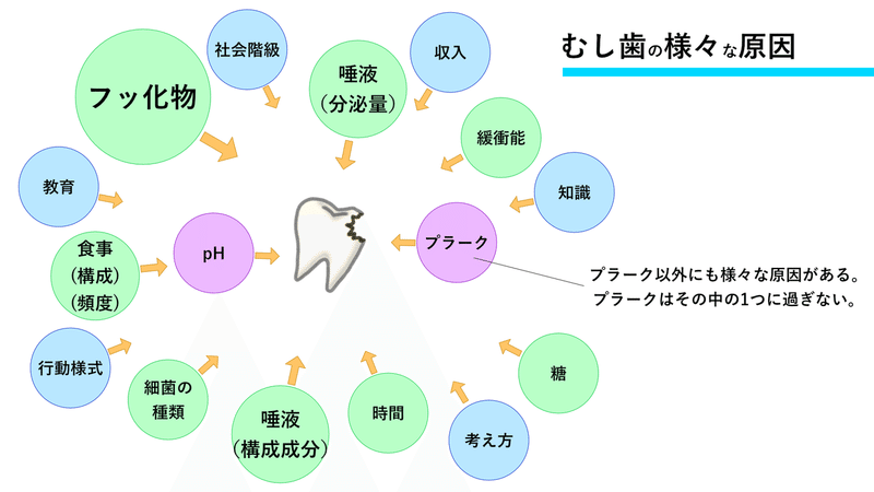 う蝕因子4a (2)