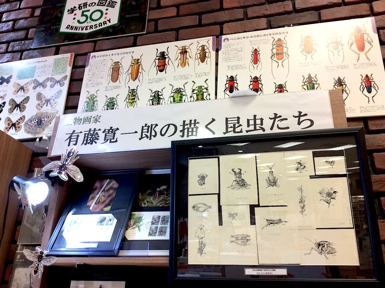 図鑑文化を支えた生物画家 その仕事を追う書店員さんのフィールドワークに感動 工作舎 Note 図鑑文化を支えた生物画家 その仕事を追う書店員さんのフィールドワークに感動 工作舎 Note