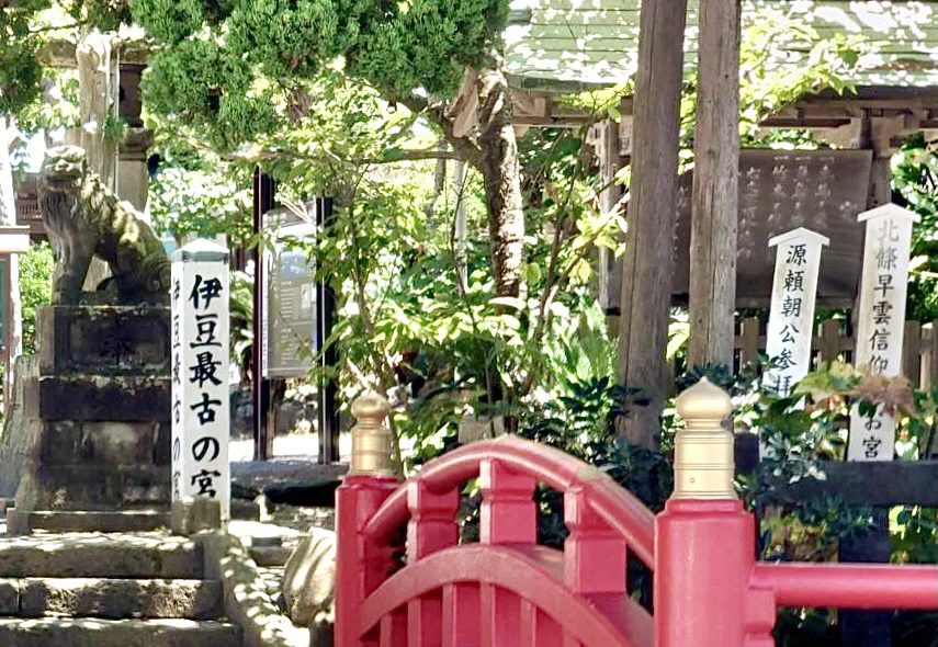 画像12