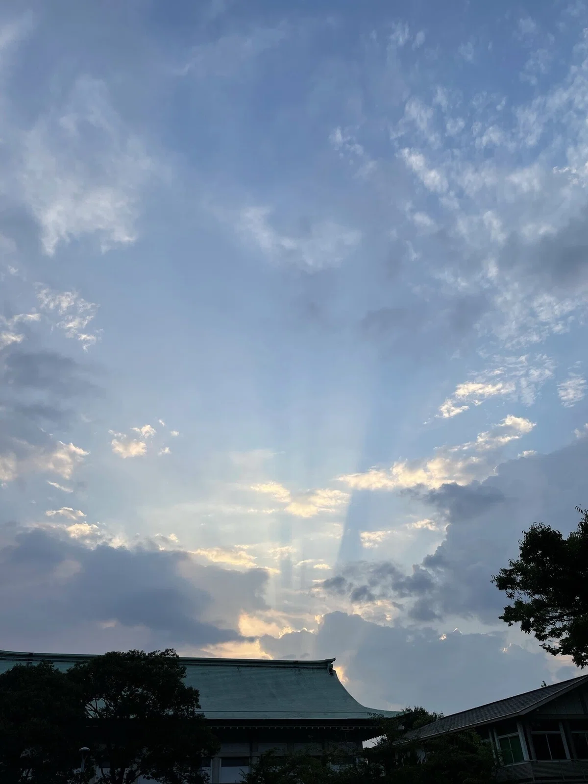画像13