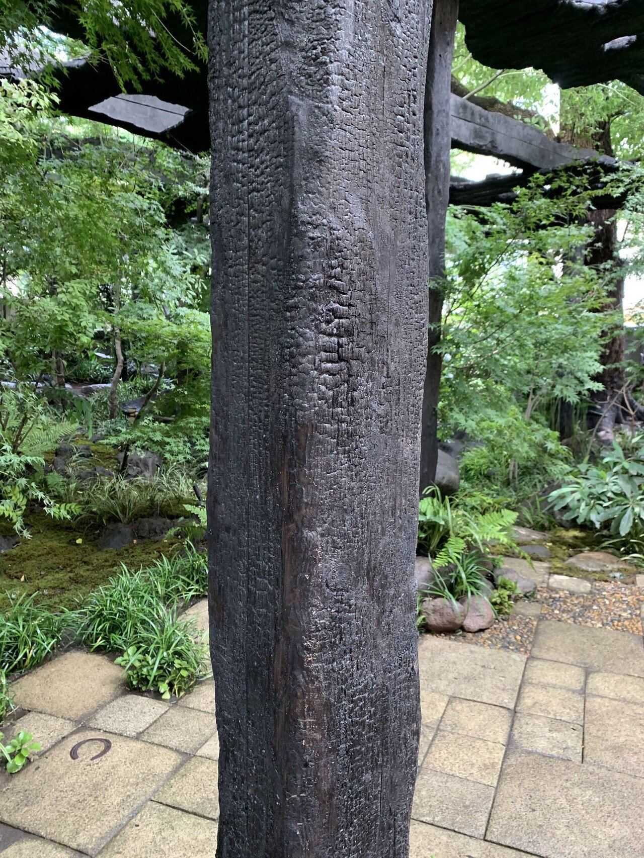 建築】日陰が心地良い木陰雲（石上純也）｜Hiroshi Kawajiri