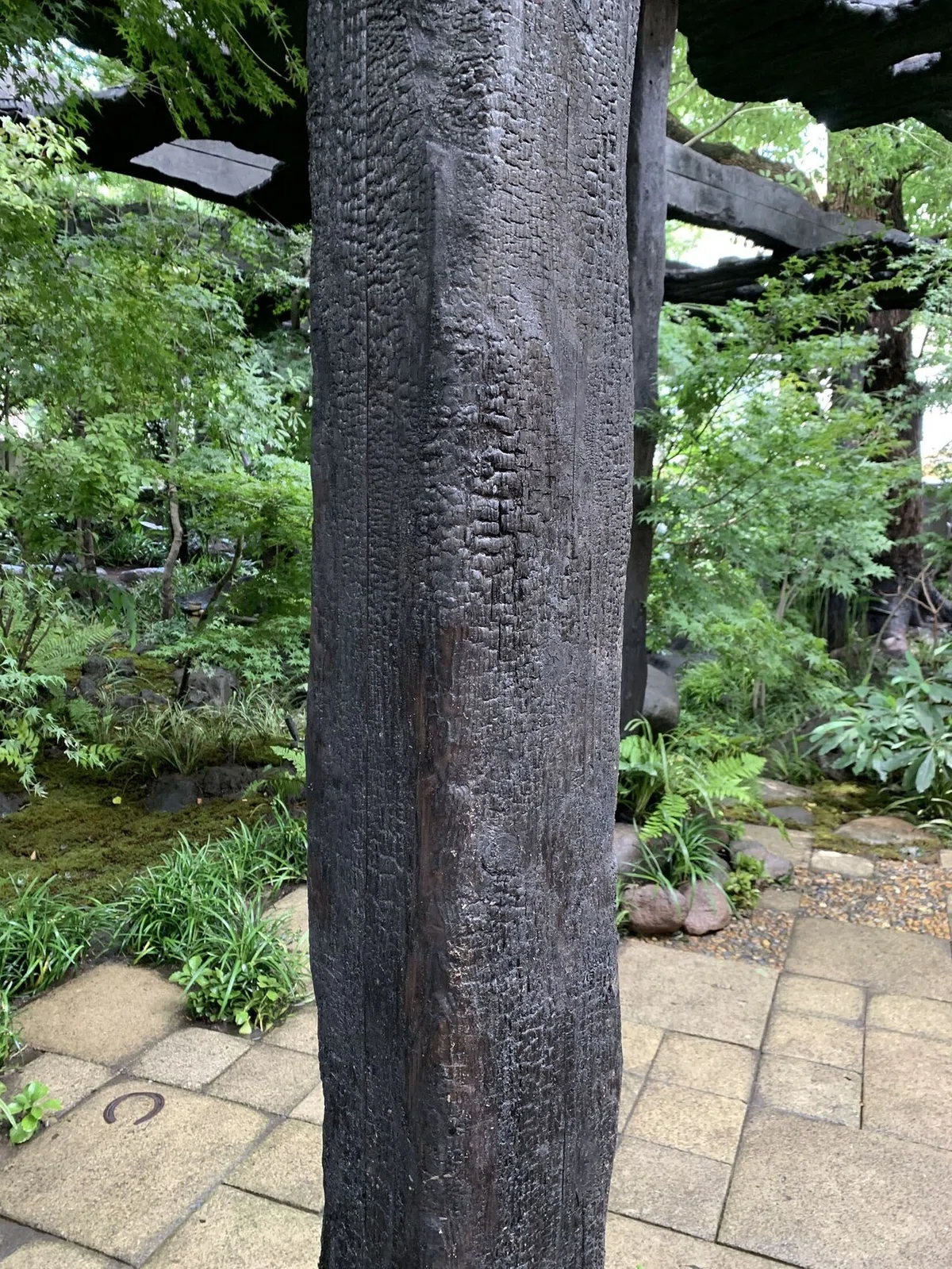 画像14