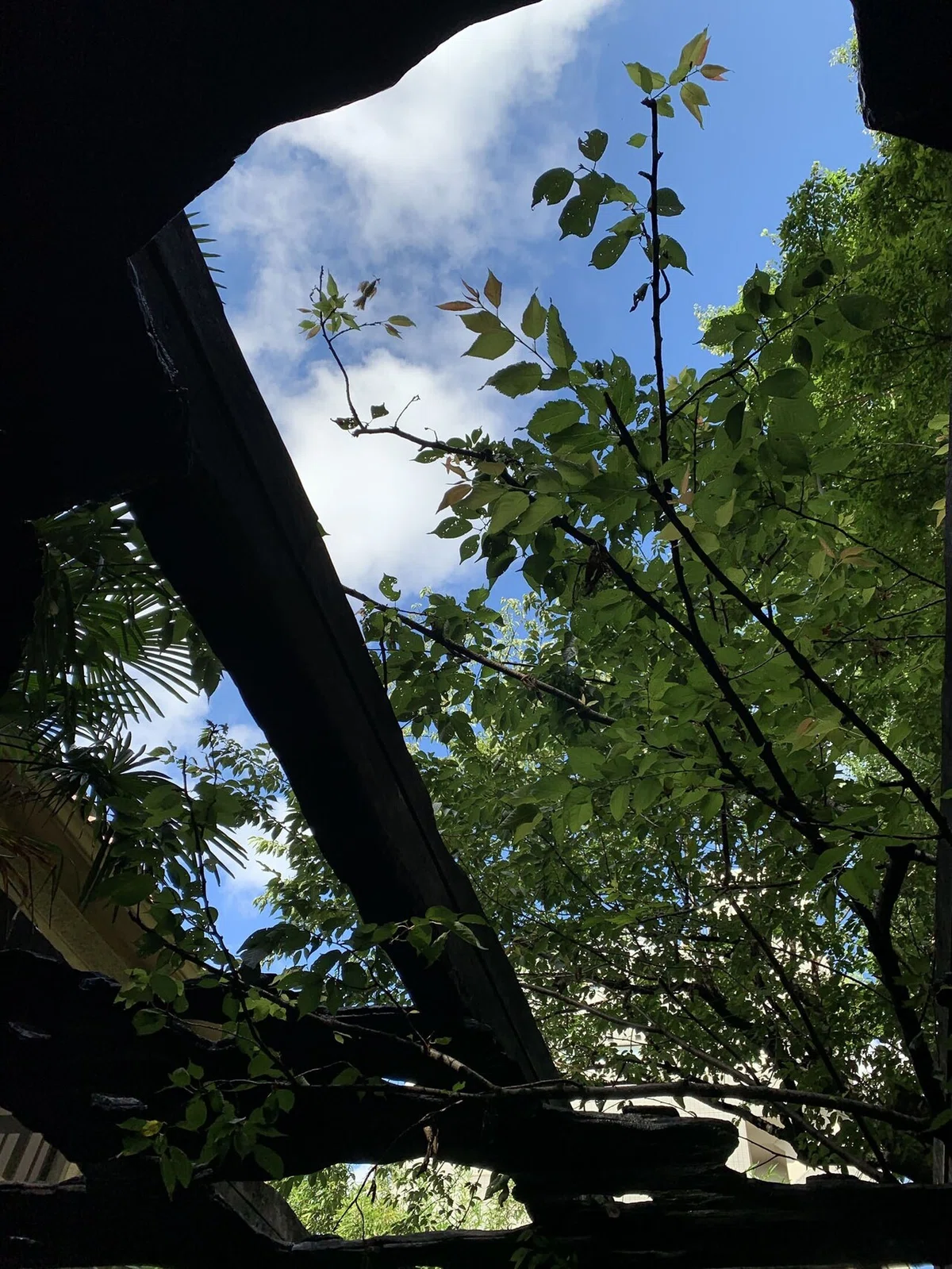 画像17