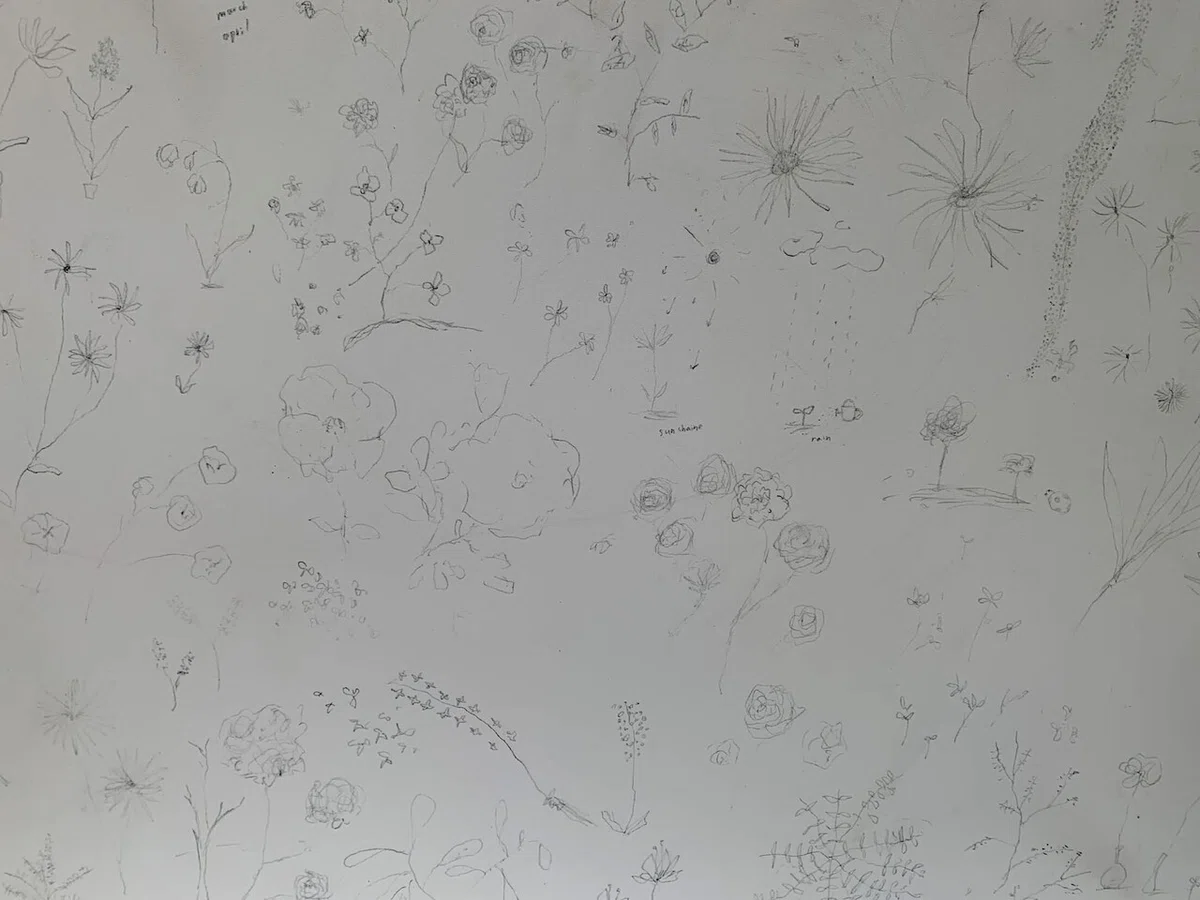 画像20