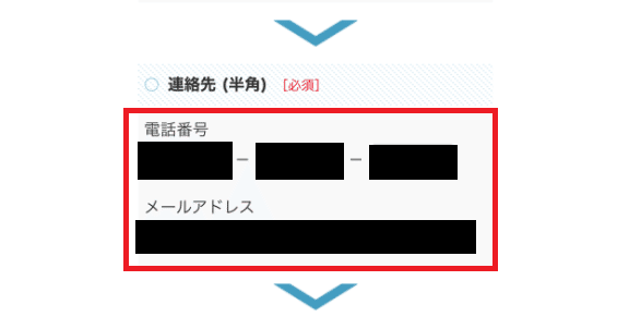 楽天でんき　申し込み⑨