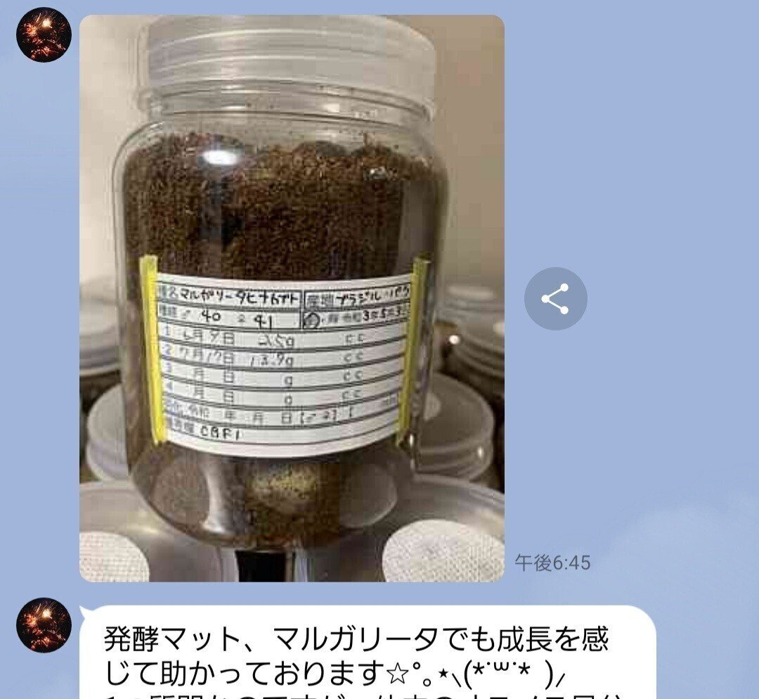 ヒマラヤひらたけ発酵マット|iketeru_1130 ヒマラヤひらたけ発酵マット|iketeru_1130