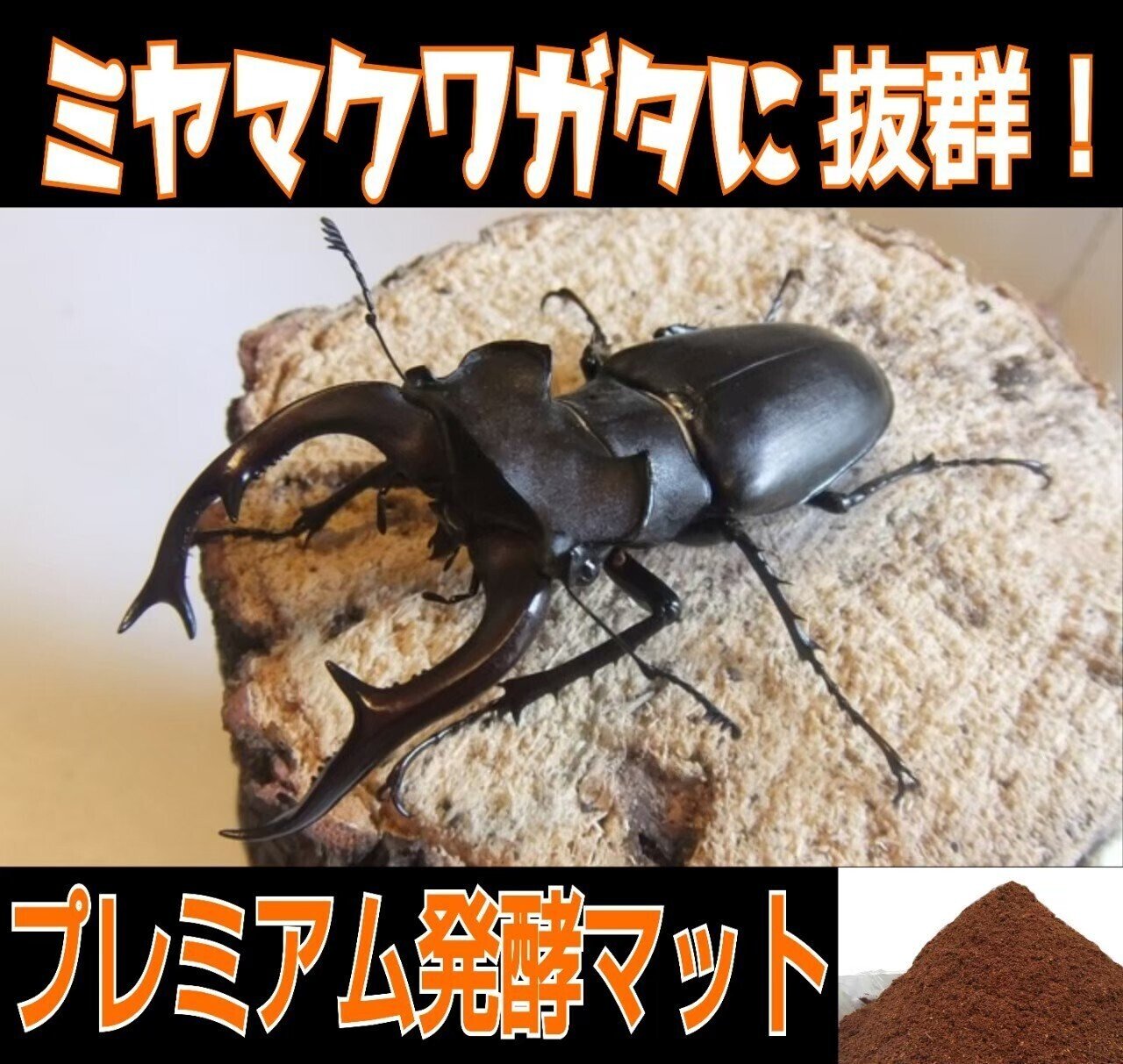 ヒマラヤひらたけ発酵マット|iketeru_1130 ヒマラヤひらたけ発酵マット|iketeru_1130