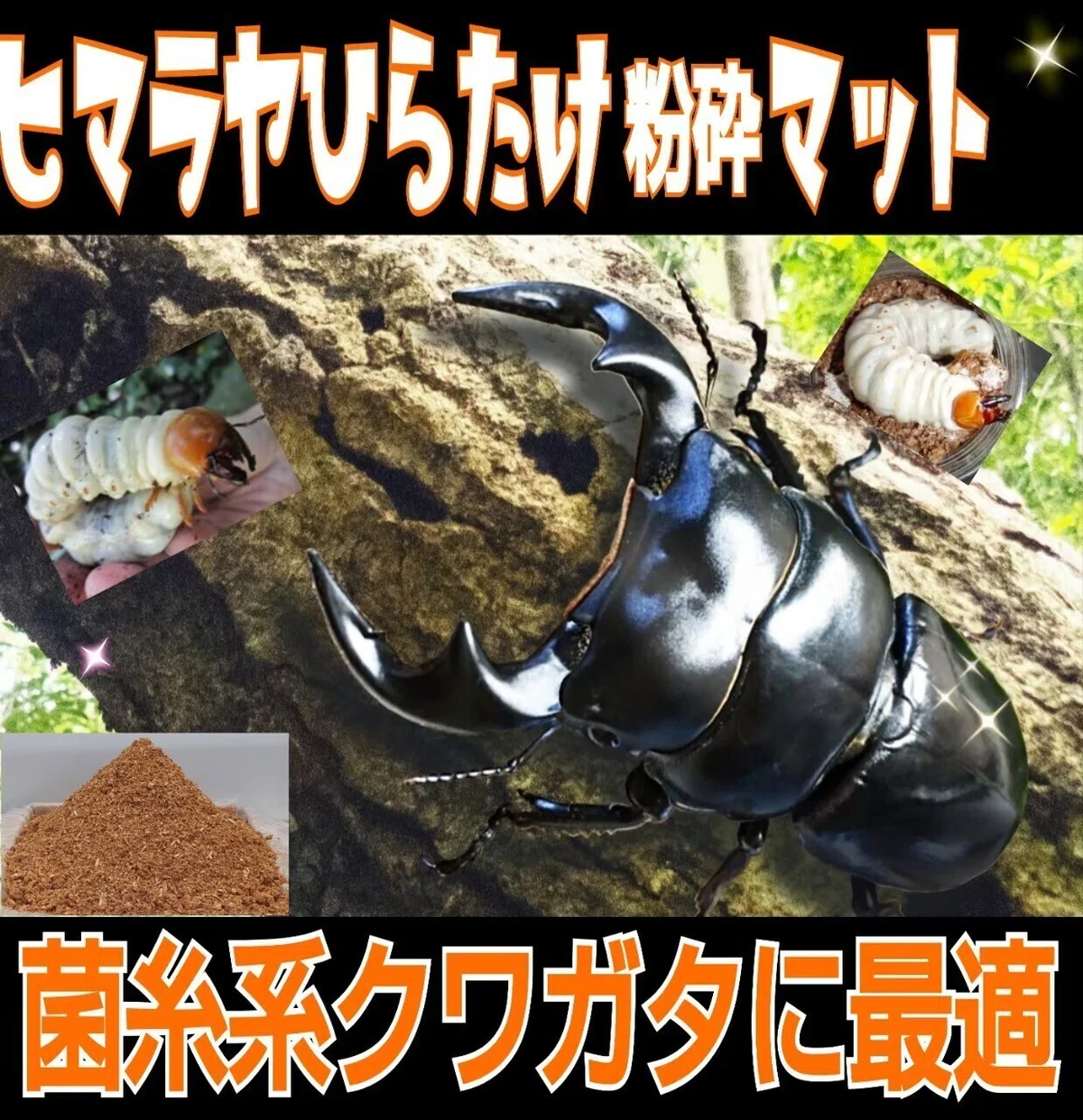 ヒマラヤひらたけ発酵マット｜iketeru_1130