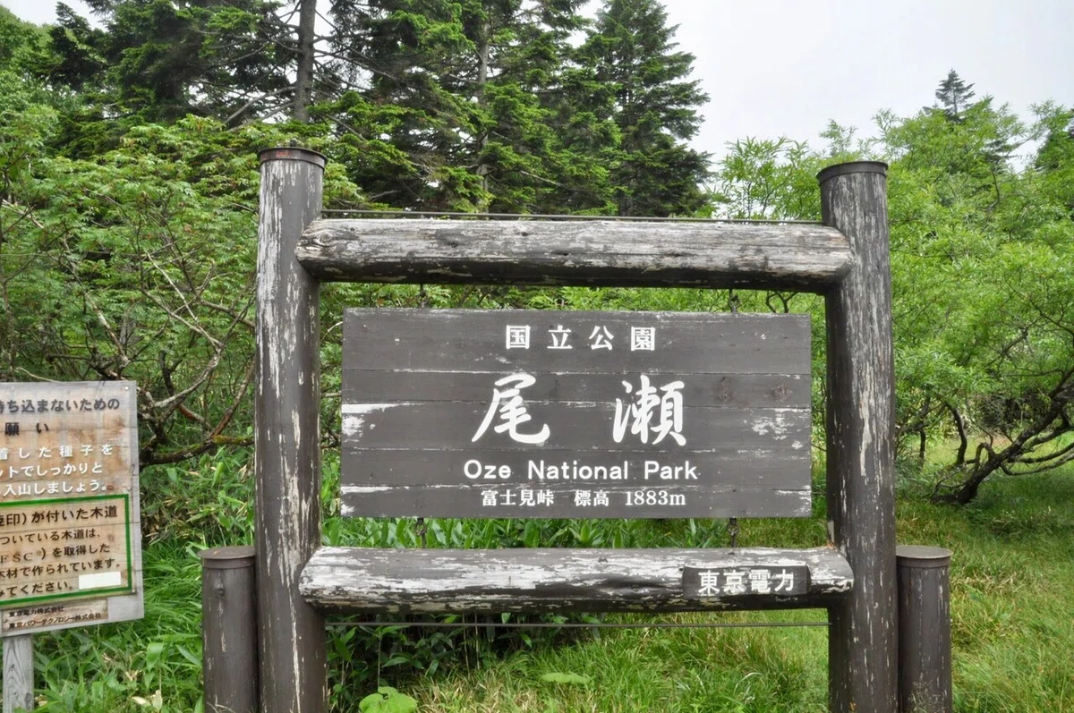 画像13