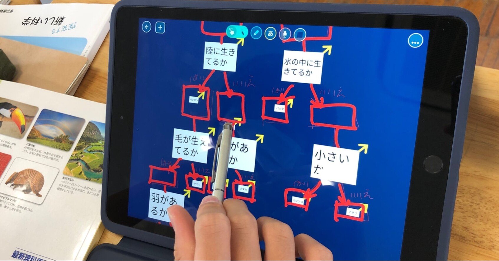 動物の分類表をつくってみる 矢野充博 Note