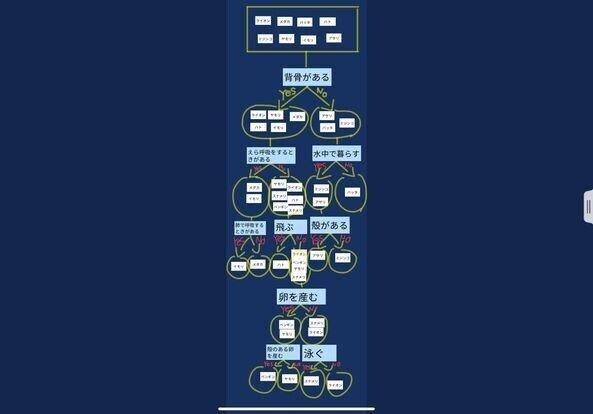 動物の分類表をつくってみる 矢野充博 Note