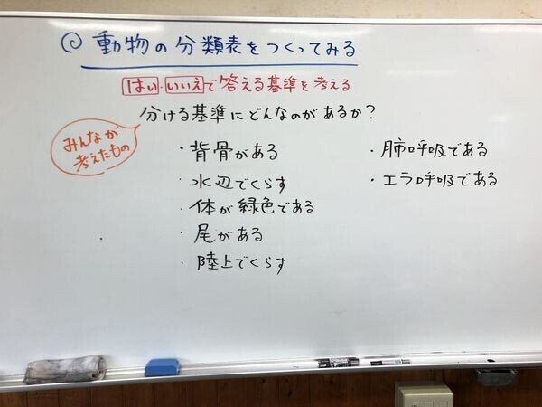 動物の分類表をつくってみる 矢野充博 Note