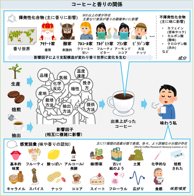 コーヒーの香りをゆるめに科学する Bb Note