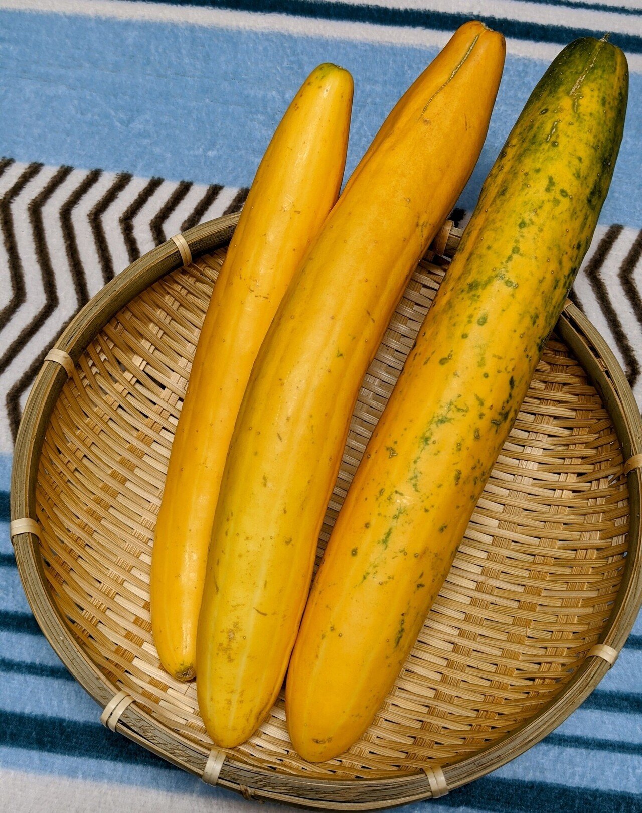 幸福の黄色いキュウリ 暮らしの知恵教わりました えむ Note
