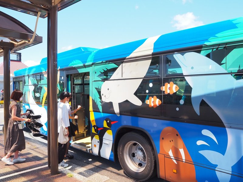 夏の房総半島横断と鴨川シーワールドひとり旅 Sumire Note