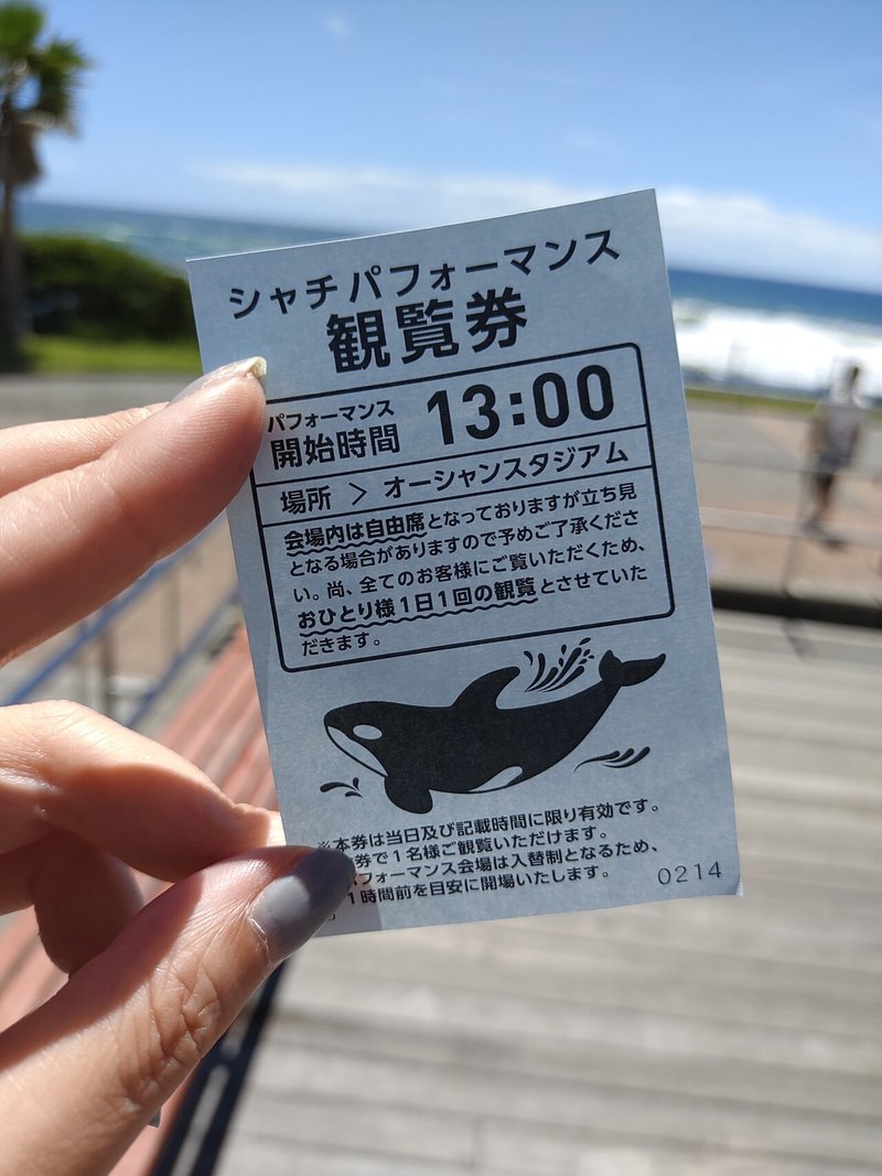 夏の房総半島横断と鴨川シーワールドひとり旅 Sumire Note