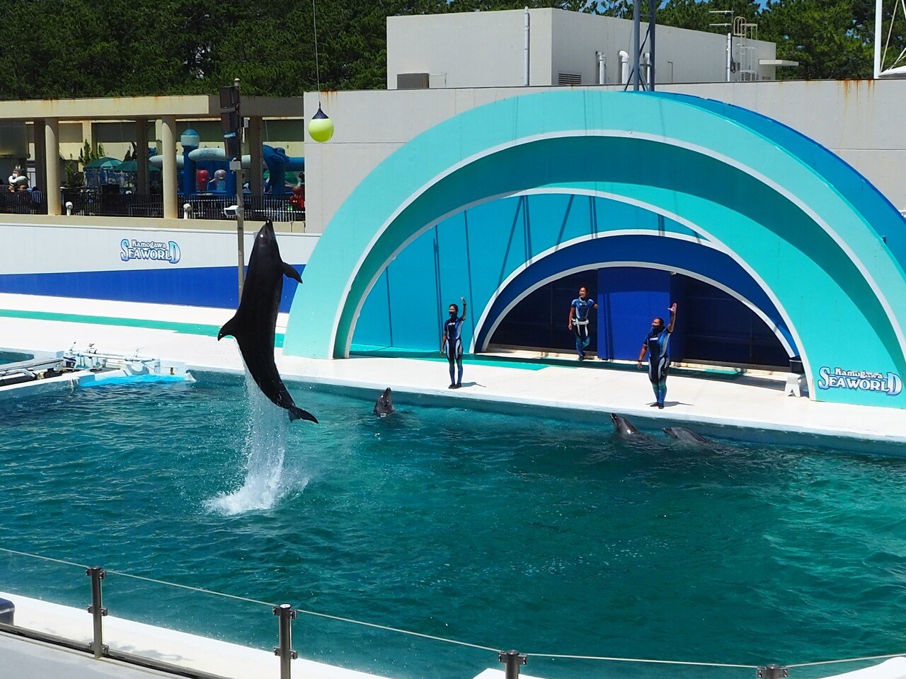 夏の房総半島横断と鴨川シーワールドひとり旅④|sumire 夏の房総半島横断と鴨川シーワールドひとり旅④|sumire