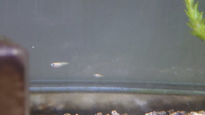 水流 の新着タグ記事一覧 Note つくる つながる とどける 水流 の新着タグ記事一覧 Note つくる つながる とどける