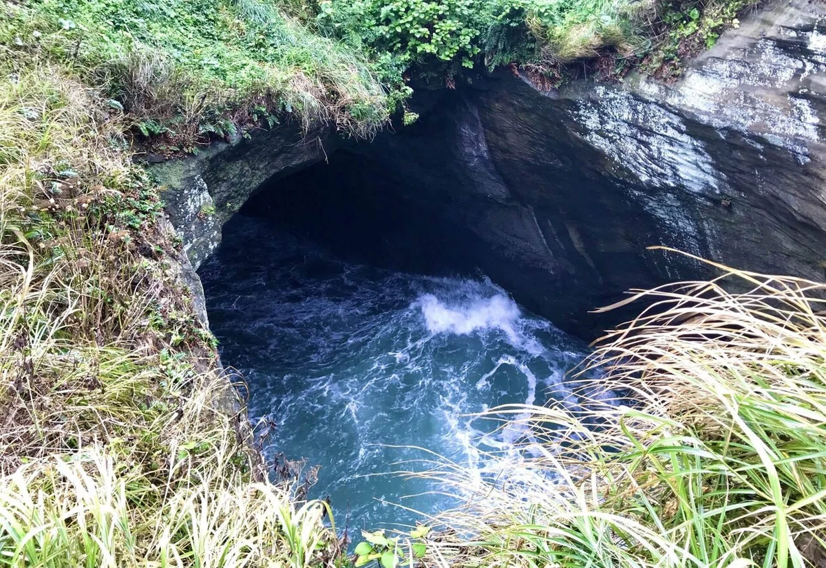 画像19