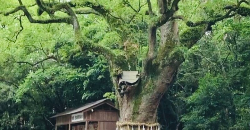 〜麻と神社日和⛩〜自分のマインドに気づかせてくださる神社