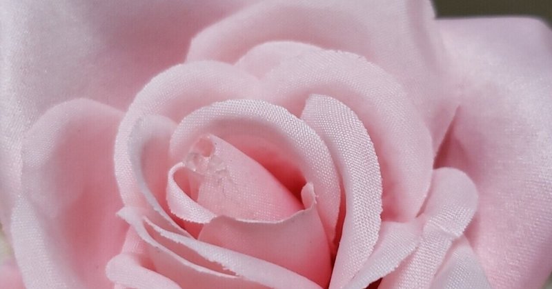 薔薇の名前 かっしー Note