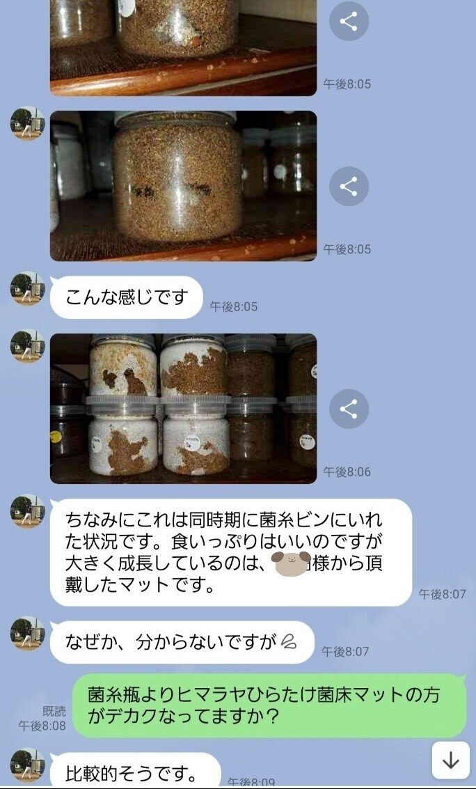 ヒマラヤひらたけ発酵マット|iketeru_1130 ヒマラヤひらたけ発酵マット|iketeru_1130