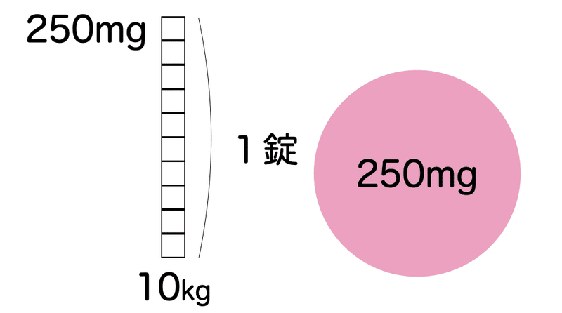 スクリーンショット 2021-08-23 13.10.59