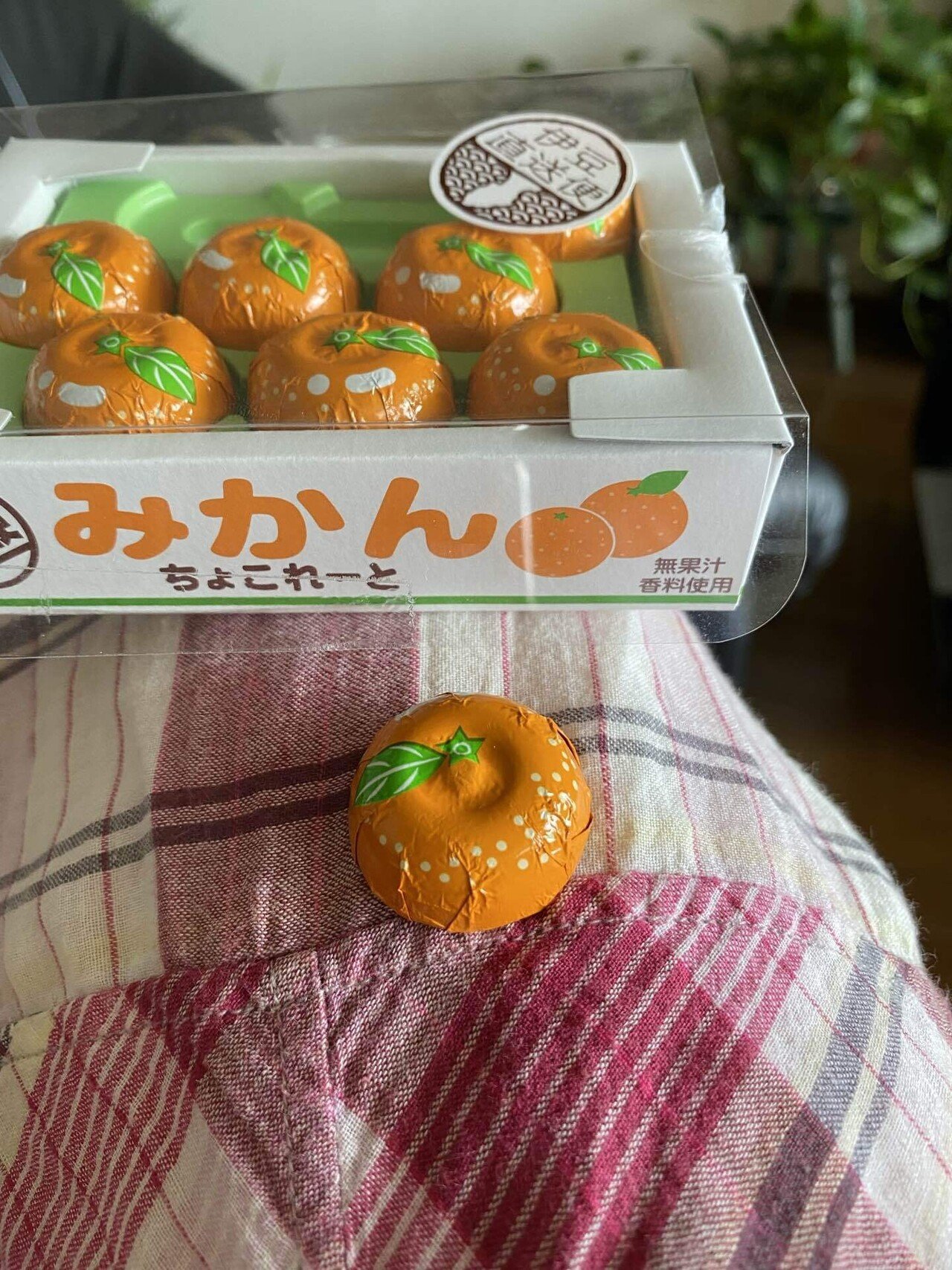 みかんチョコと過ごす雨の日｜すやすや姫