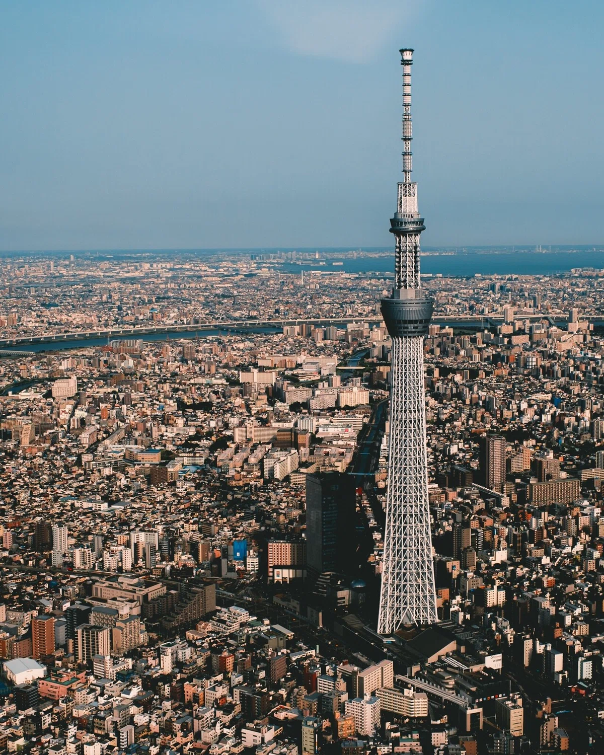 画像11