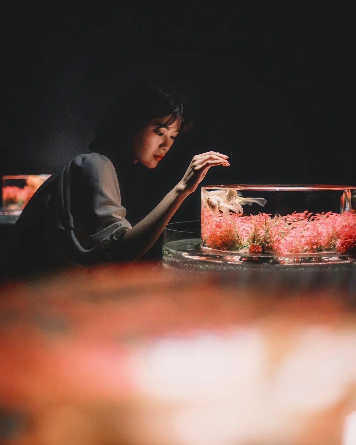 画像13