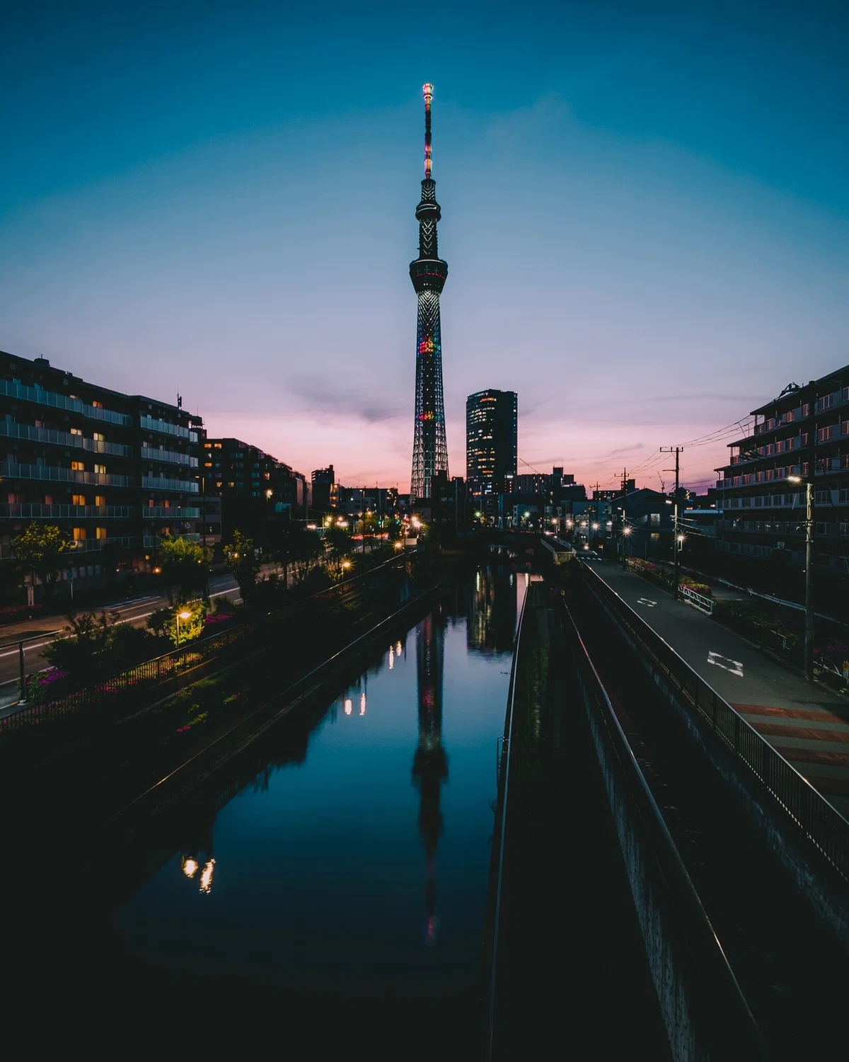 画像14