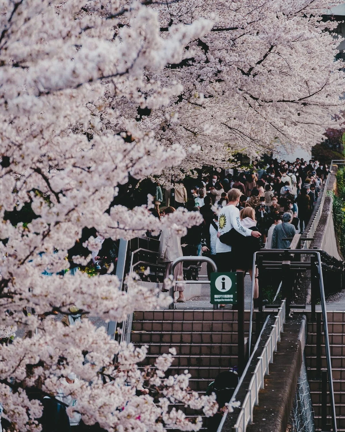 画像20