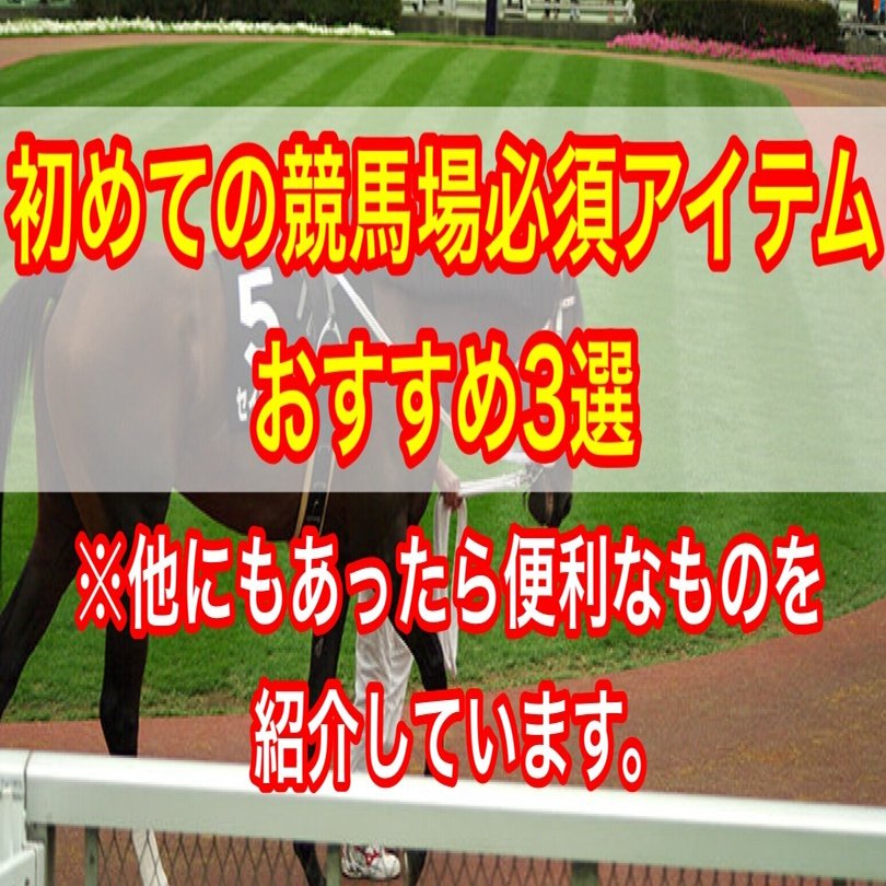 初めての競馬場必須アイテムおすすめ3選 他にもあったら便利なものを紹介しています びんちゃんましふ Note