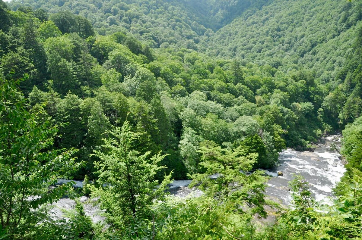 画像8