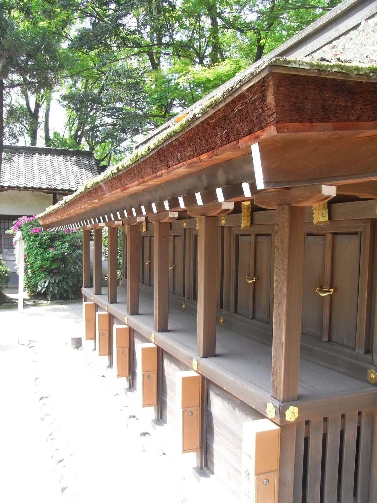 画像7