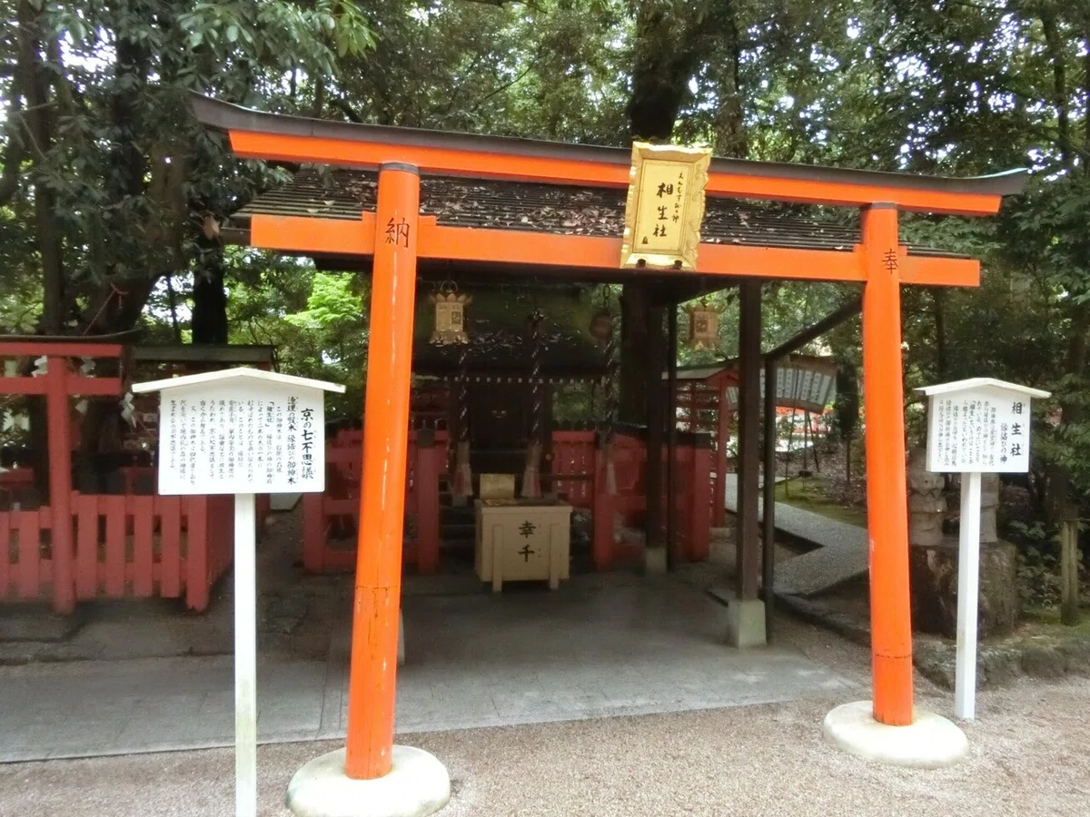 画像8