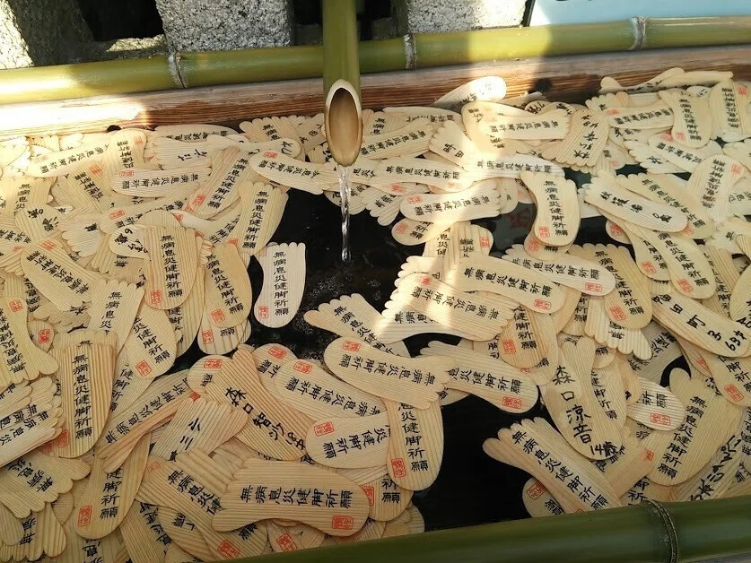 画像13