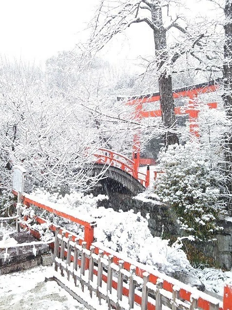 画像40