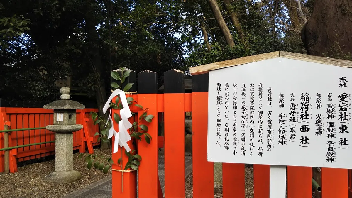 画像46